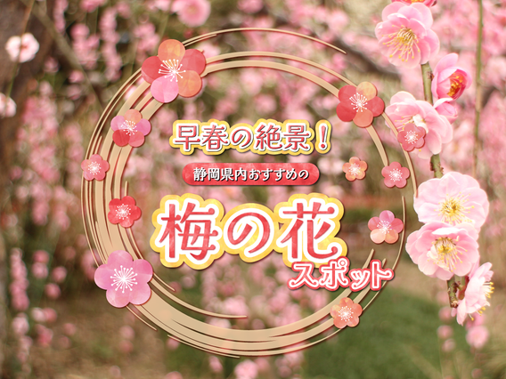 早春の絶景!静岡県おすすめの梅の花スポット