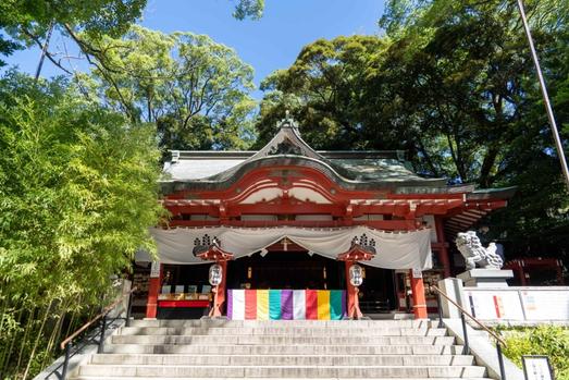熱海「來宮神社」で写真を撮ろう!映える大楠や御朱印情報も