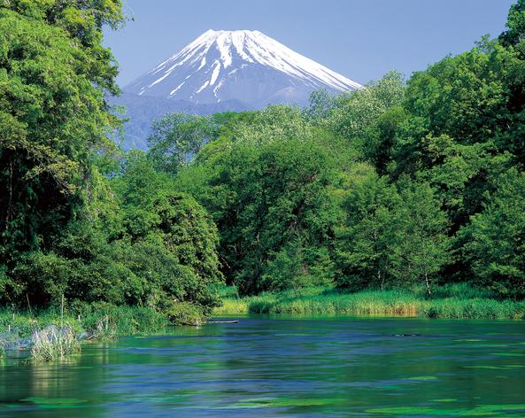 柿田川と富士山