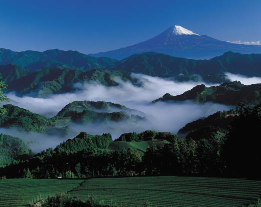 静岡市吉原からの富士山