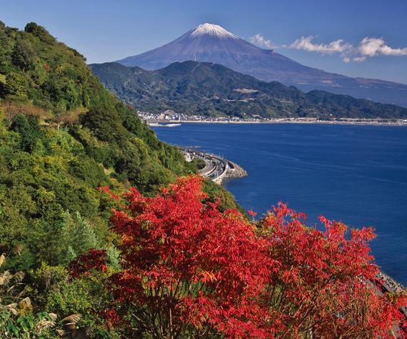秋の薩埵峠