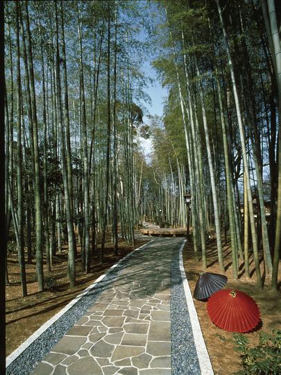 竹林の小径