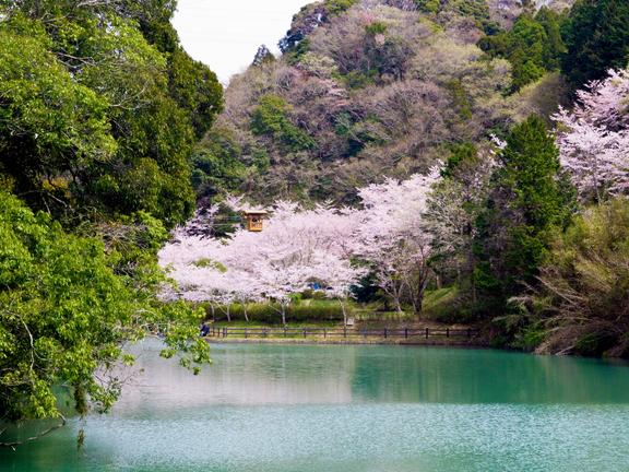 永寶寺（野猿）