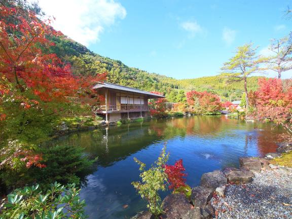 玉露の里