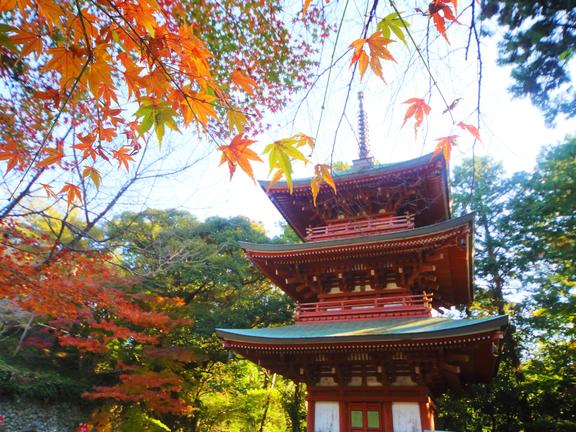 医王山油山寺の紅葉
