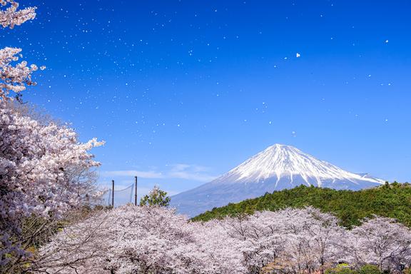 【しずおか富嶽三十六景】14景 岩本山公園
