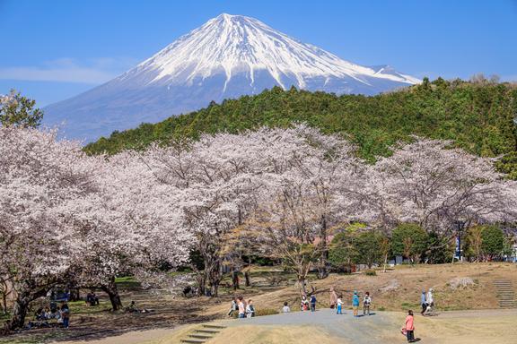 【しずおか富嶽三十六景】14景 岩本山公園