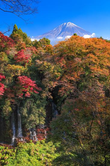 【しずおか富嶽三十六景】20景 白糸の滝
