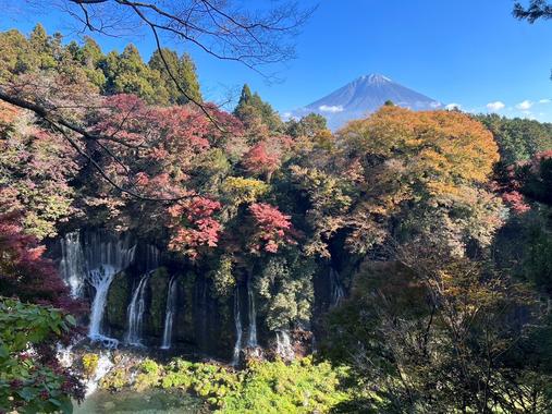 【しずおか富嶽三十六景】20景 白糸の滝