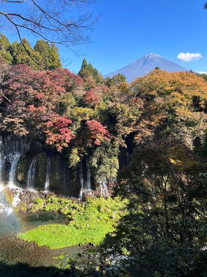 【しずおか富嶽三十六景】20景 白糸の滝