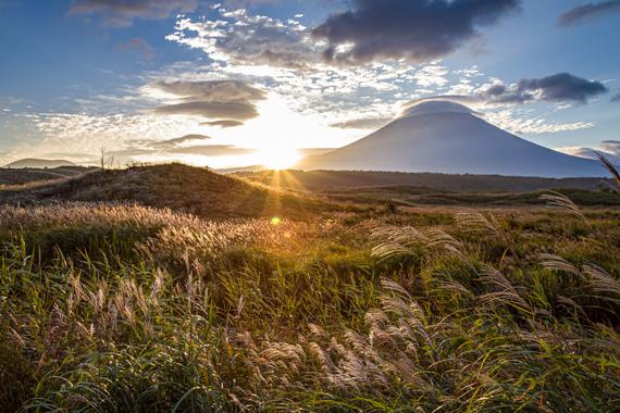 【しずおか富嶽三十六景】23景 朝霧高原 ススキ