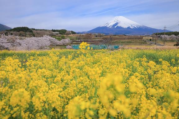 【しずおか富嶽三十六景】9景 すそのパノラマロード
