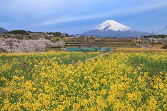 【しずおか富嶽三十六景】9景 すそのパノラマロード