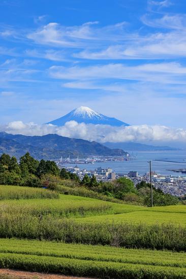 【しずおか富嶽三十六景】27景 日本平