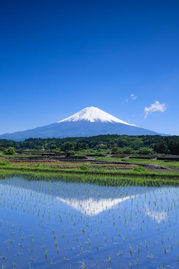【しずおか富嶽三十六景】7景 富士宮市柚野（棚田群）
