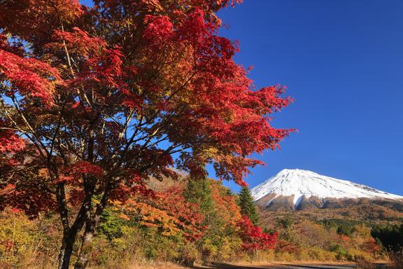 【しずおか富嶽三十六景】24景 西臼塚