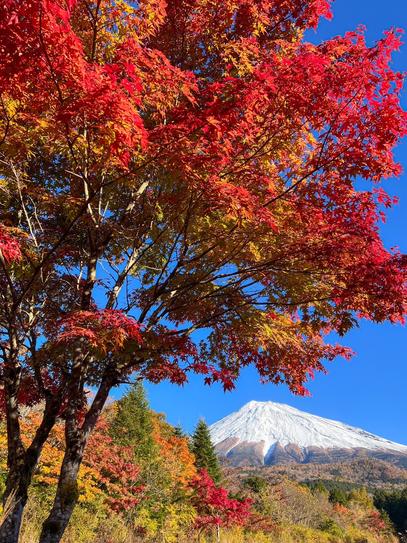 【しずおか富嶽三十六景】24景 西臼塚