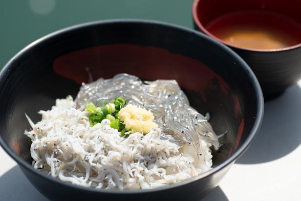 しらす丼 田子の浦漁協食堂
