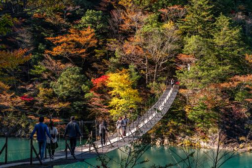 夢のつり橋　秋