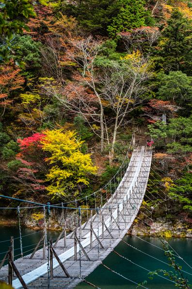 夢のつり橋　秋