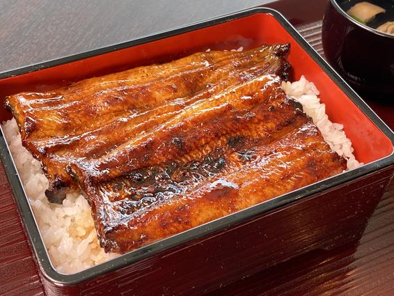 うなぎ（浜松市元城亭）