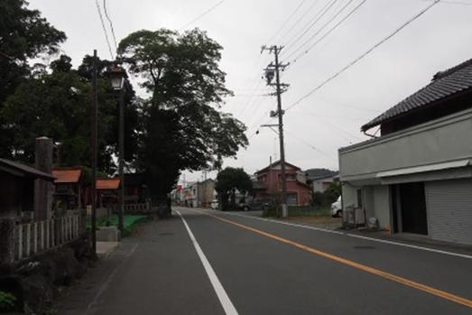 森の町並み
