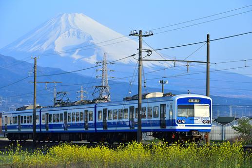 いずっぱこ沿線をお得に散策しよう