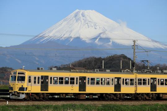 いずっぱこグッズ発売中