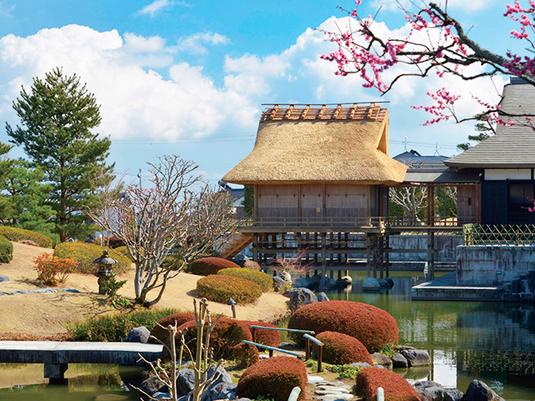 11.ふじのくに茶の都ミュージアム
