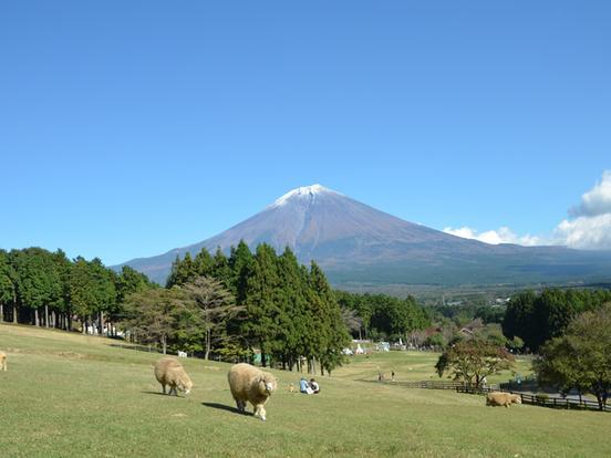 富士山麓朝霧高原 まかいの牧場