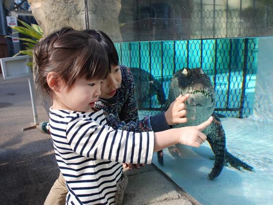 熱川バナナワニ園