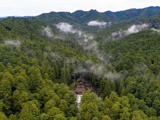 遠江国一宮 小國神社