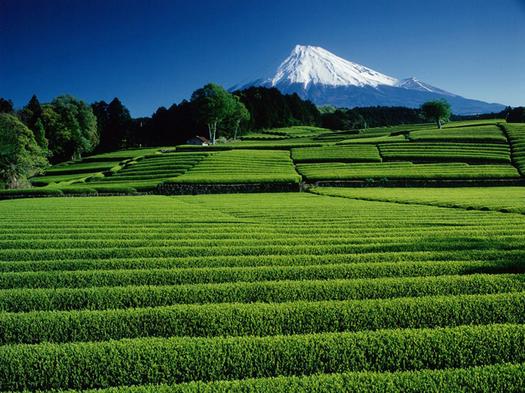 静岡県民おすすめの富士山ビュースポット