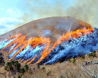 大室山山焼き