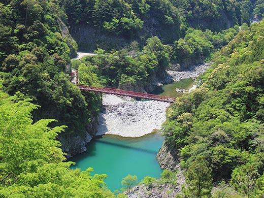 新緑と天竜川