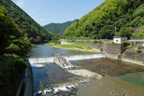 興津川