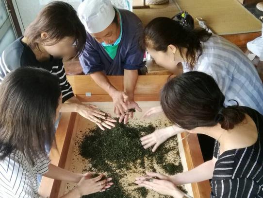 山香荘茶園