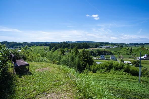 キウイフルーツカントリーJapan