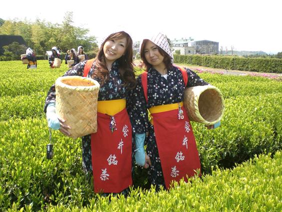 JA遠州中央 香りの丘 茶ピア