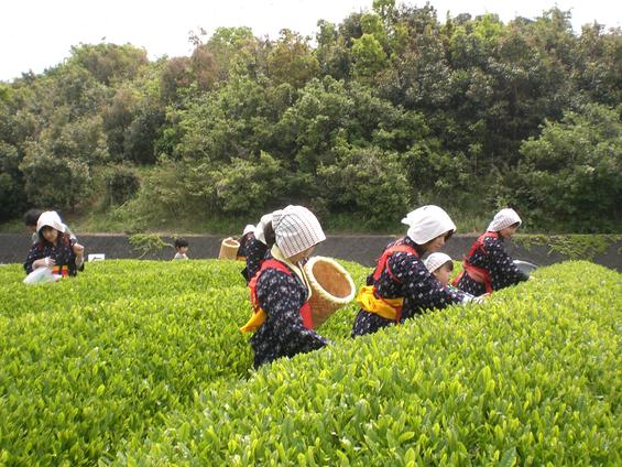 JA遠州中央 香りの丘 茶ピア