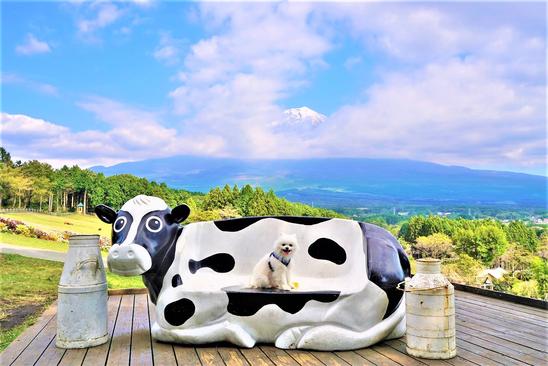 まかいの牧場(富士宮市)