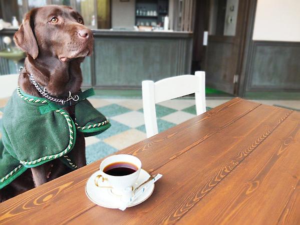 つま恋リゾート彩の郷(掛川市)