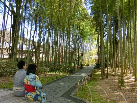 修善寺　竹林の小径（伊豆市）