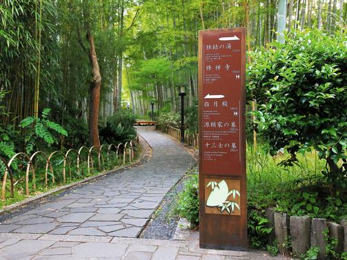 修善寺　竹林の小径（伊豆市）