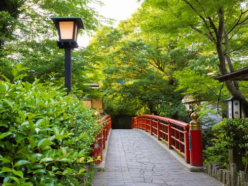修善寺　竹林の小径（伊豆市）
