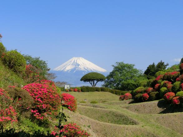 山中城跡公園（三島市）