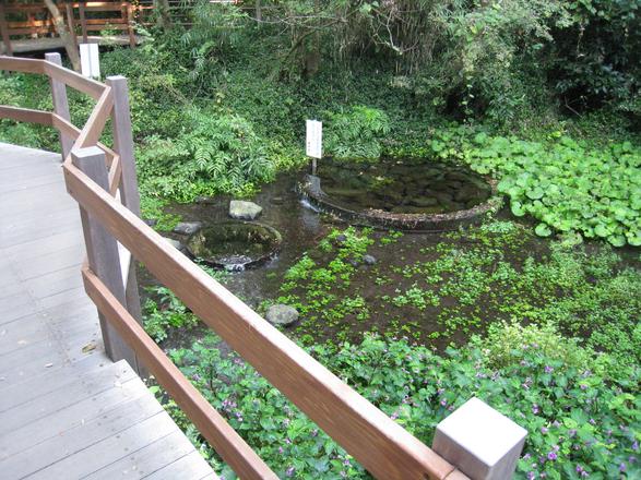 柿田川公園（清水町）