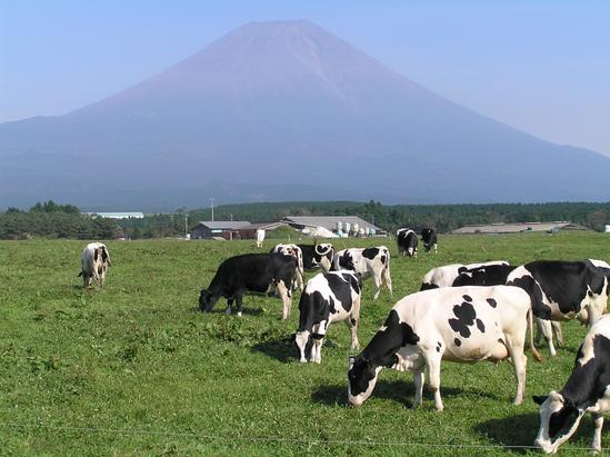 朝霧高原（富士宮市）