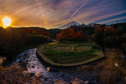 竹之下の棚田（小山町）