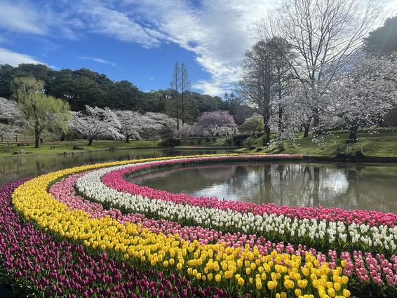 はままつフラワーパーク（浜松市）
